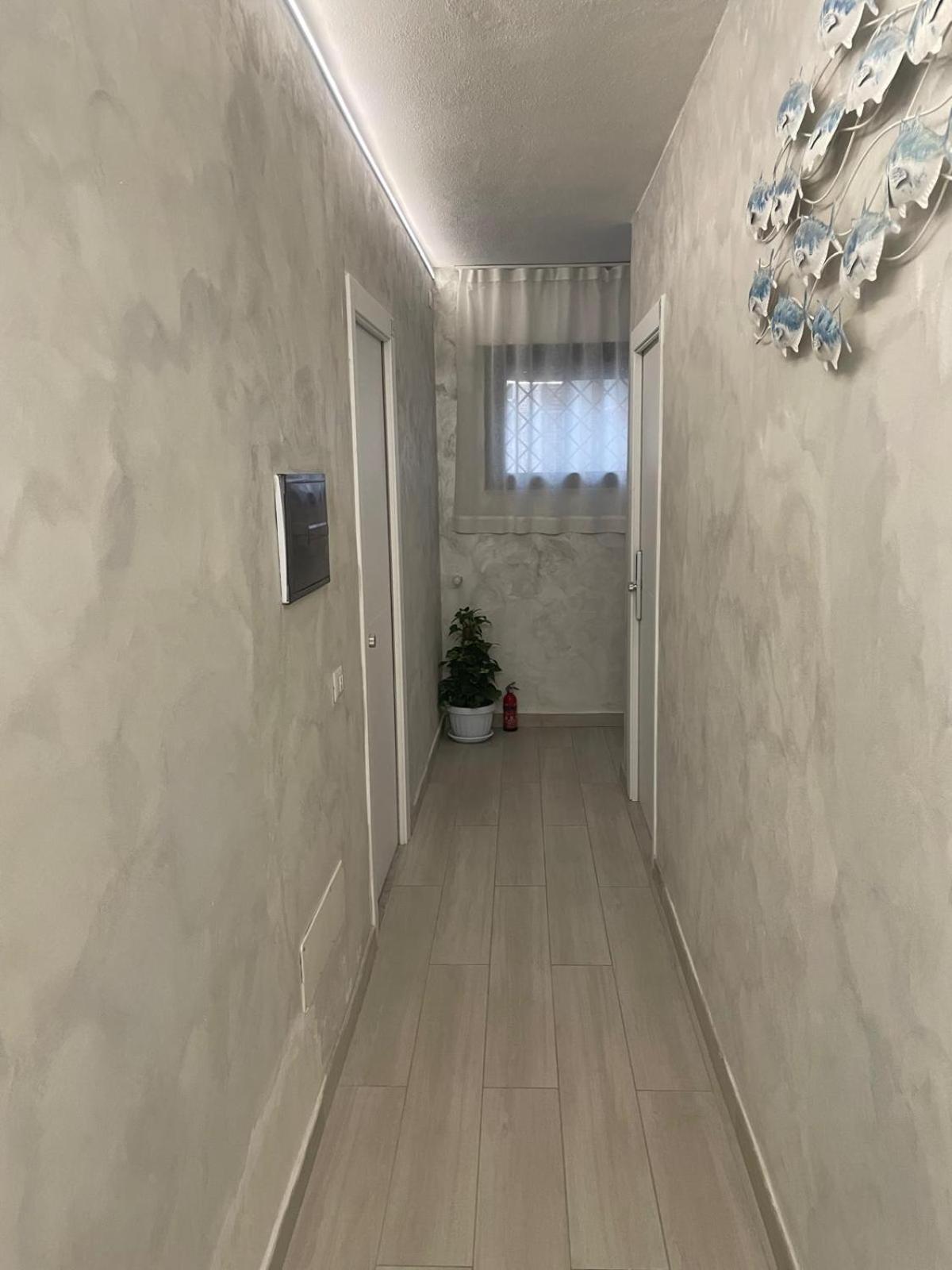شقة Camelia'S House أولبيا المظهر الخارجي الصورة