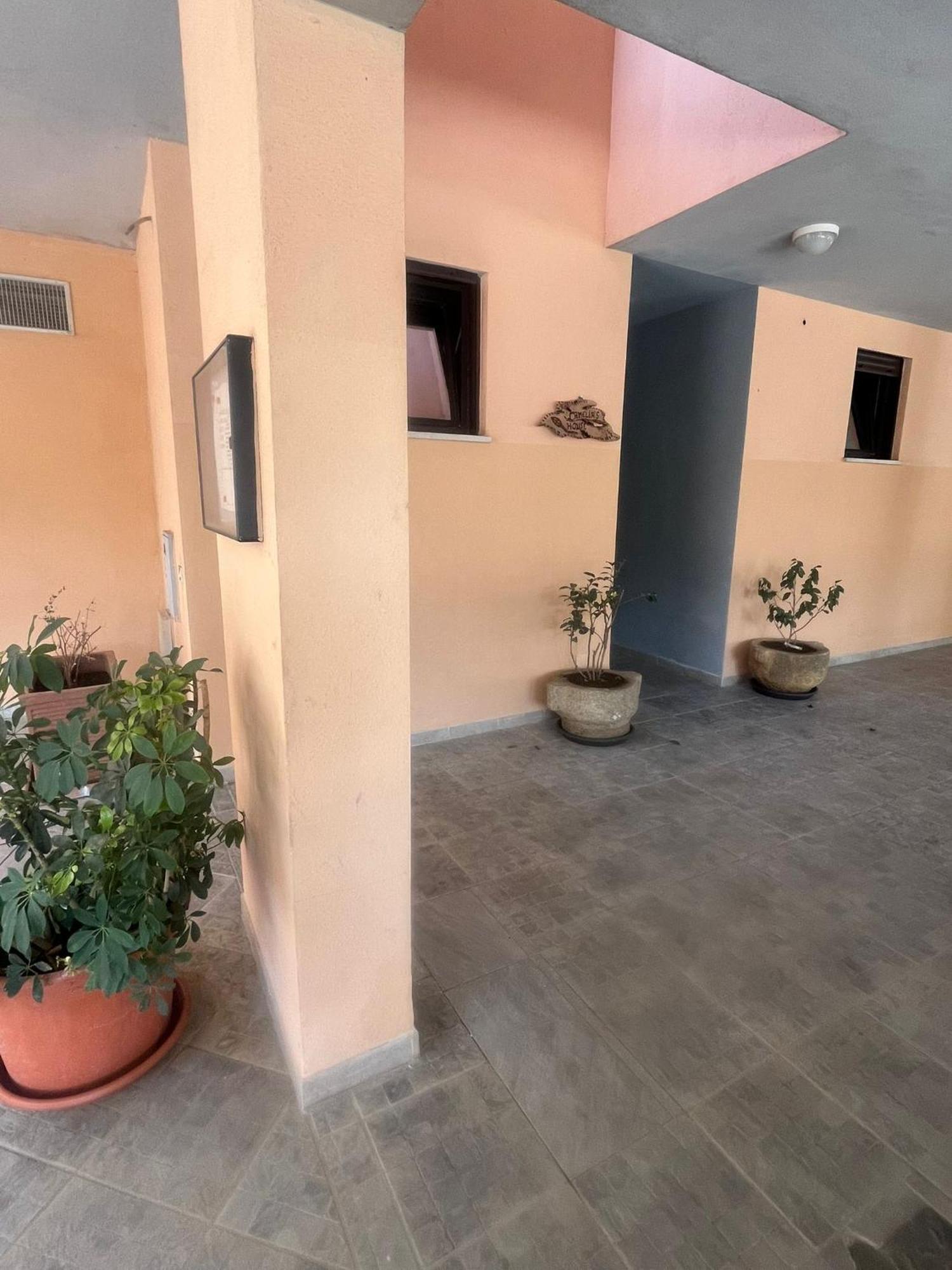 شقة Camelia'S House أولبيا المظهر الخارجي الصورة